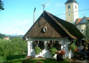 Galerija_Lipa-Bertija_Pod_Lipom