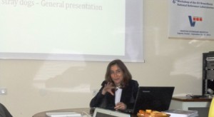 OIE presentation